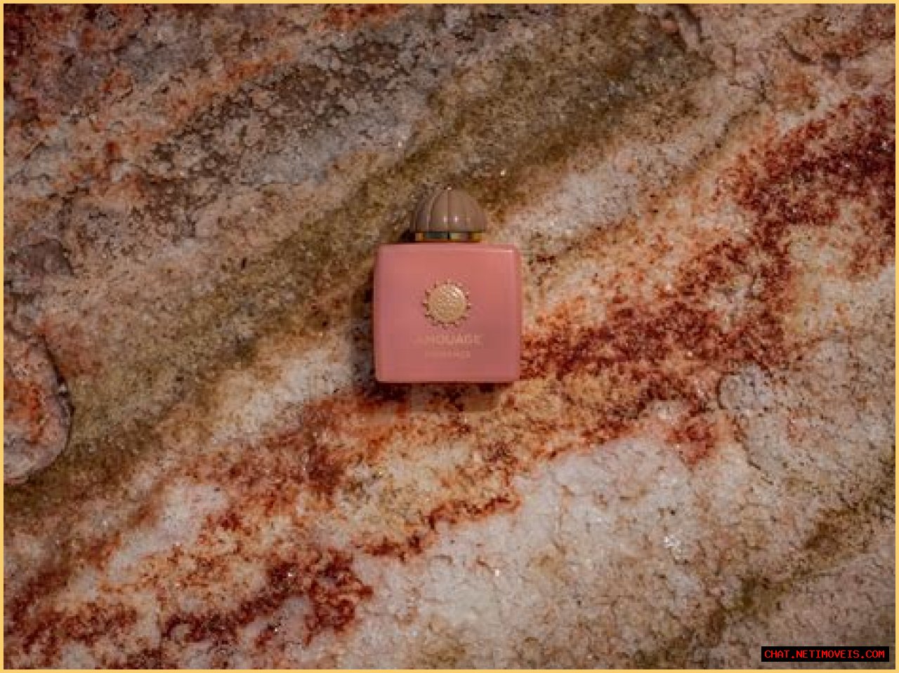 Morgan Harvey: A Deep Dive Into The Life And Career Of An Inspiring Figure